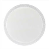 Настенно-потолочный светильник REXANT 650-1029