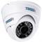 TRASSIR TR-D8121IR2 (3.6 мм) Сферическая 2 Мп IP-камера с ИК-подсветкой
